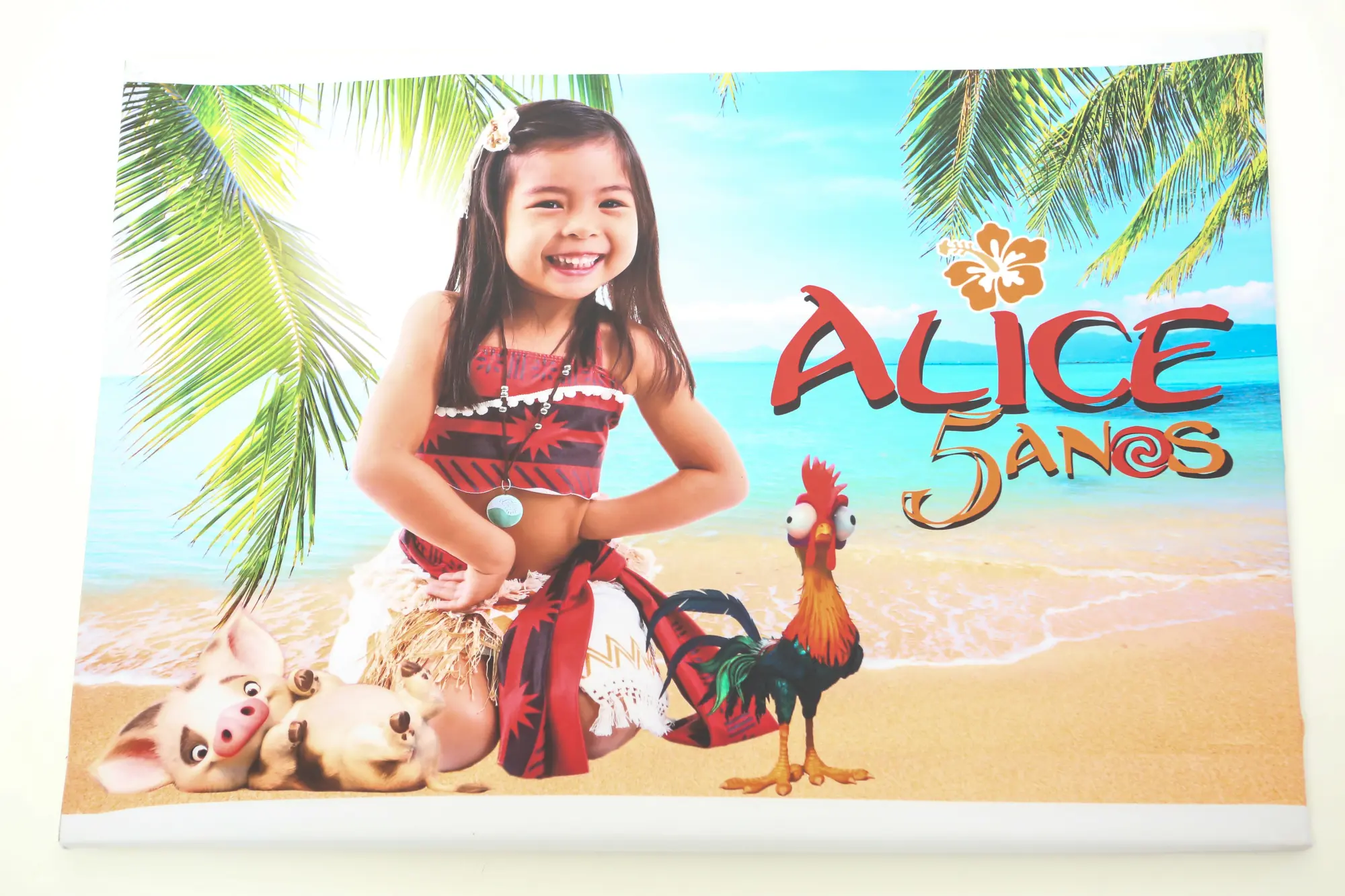 Alice — fotografia de aniversário infantil